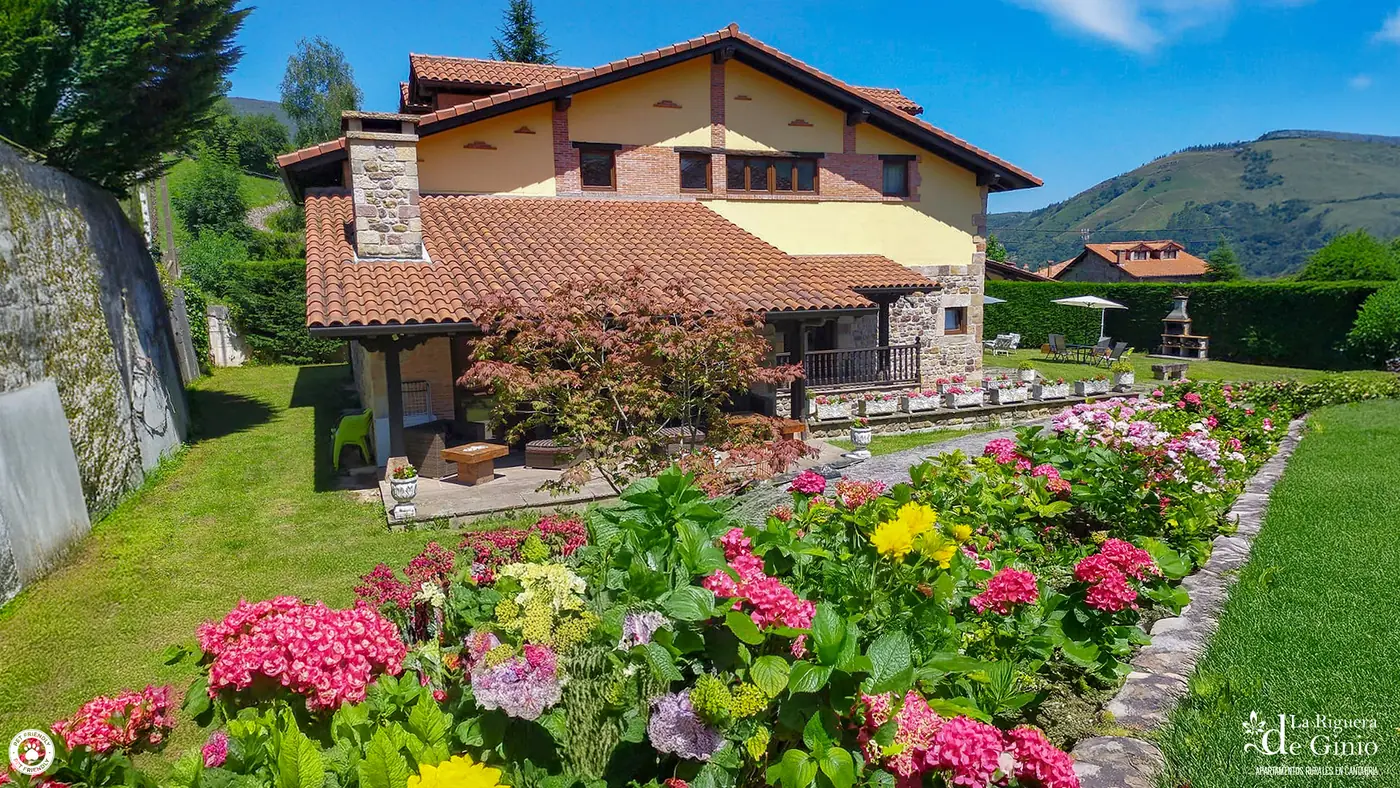 Jardín con flores