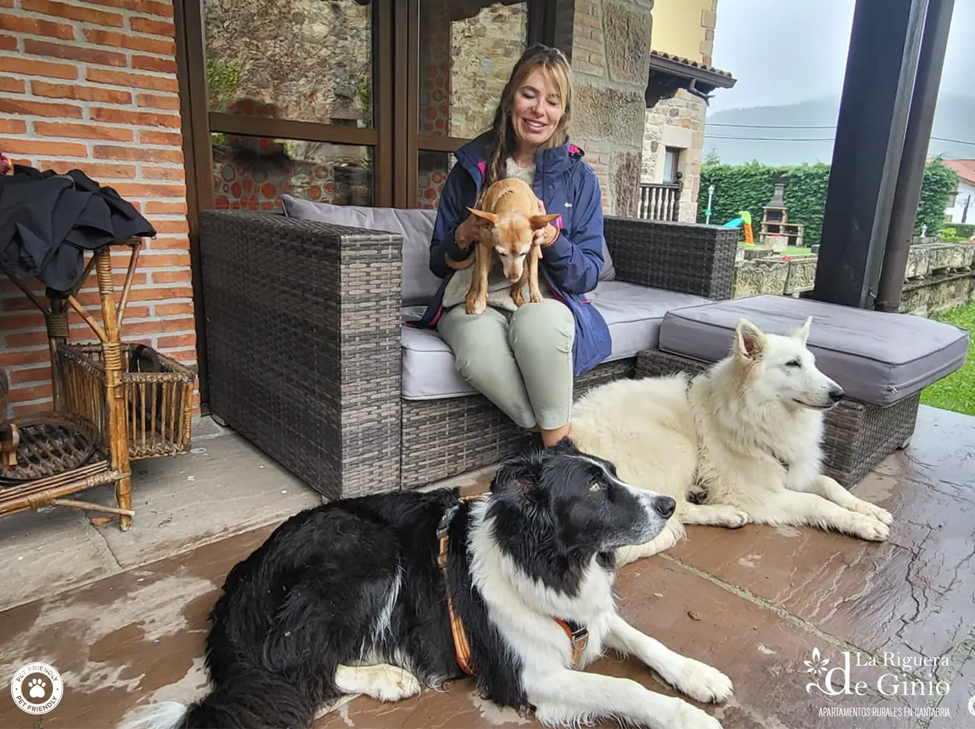 Perros en el jardín